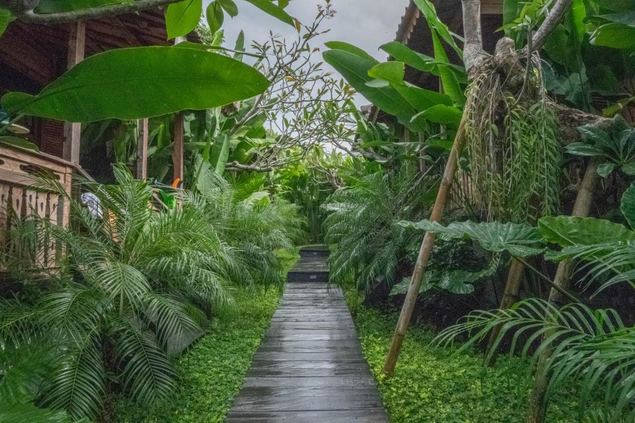 Bajalo Cottage Canggu - Adults Only Luaran gambar